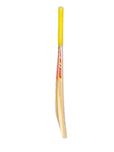 Gortonshire Kashmir Willow Cricket Bat