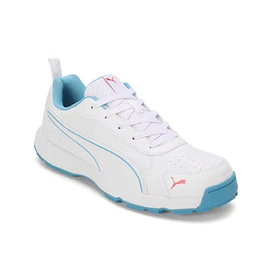 Puma Classicat 10780705 Cricket Rubber Shoes Eternal Blue