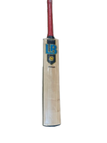 LB Gold High end Serbian/ Kashmir Willow Cricket Bat