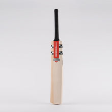 Gray Nicolls Pro Performance English willow Cricket Bat
