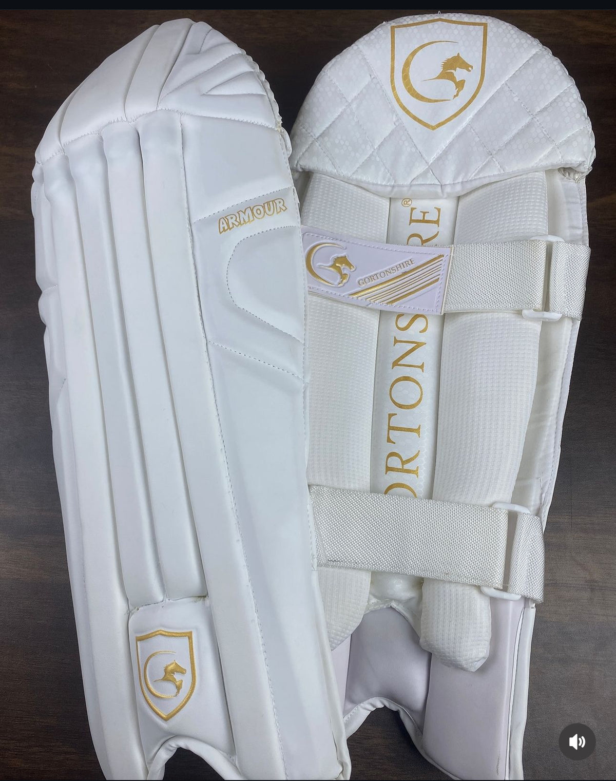 Gortonshire Armour Cricket Wicket Keeping Leg Guard