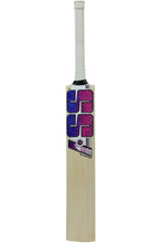 SS Sky Blaster English Willow Cricket Bat (2025)