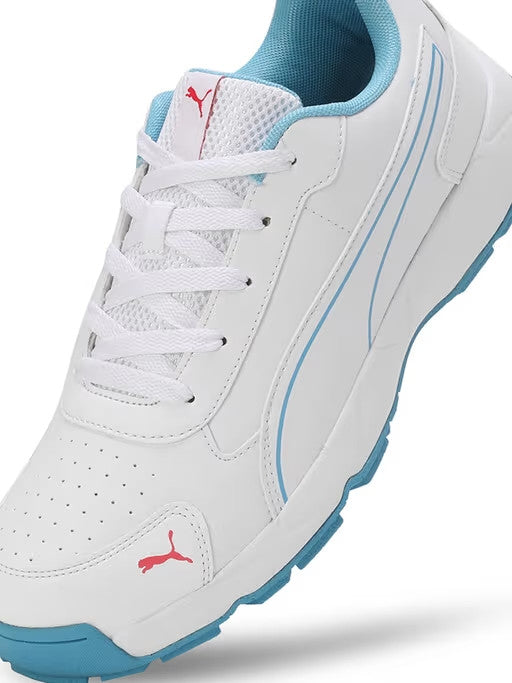 Puma Classicat 10780705 Cricket Rubber Shoes Eternal Blue