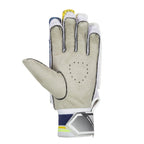 SG RSD Xtreme Cricket Batting Gloves