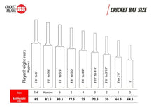 SS Master 99 English Willow Cricket Bat