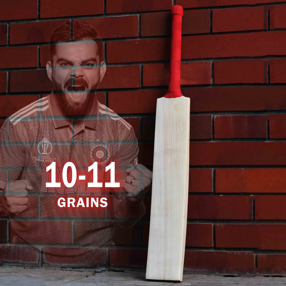 SS Dhoni Thala 2.0 Cricket Bat - Adult (2026)