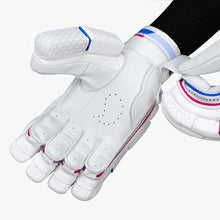 DSC Intense Passion Cricket Batting Gloves