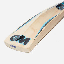 GUNN & MOORE NEON 101 KASHMIR WILLOW CRICKET BAT
