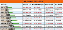 Kookabura Kahuna Progidy 50 Kashmir Willow Cricket Bat