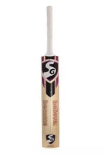 SG VS-319 Spark Kashmir Willow Cricket Bat