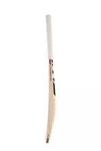 SG VS-319 Spark Kashmir Willow Cricket Bat