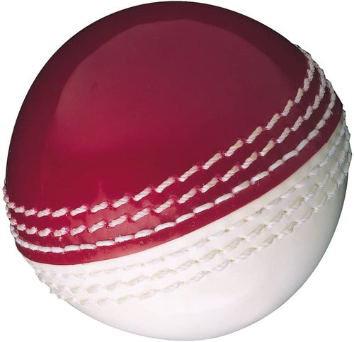 Gunn & Moore Skills Red/White Cricket Training Ball