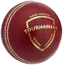 SG Tournament Cricket Ball Red