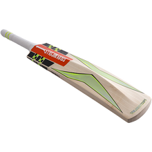 Gray Nicolls Velocity XP1 Force Plus English Willow Cricket Bat