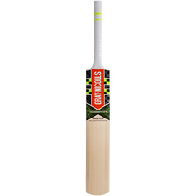 Gray Nicolls Velocity XP1 Force Plus English Willow Cricket Bat