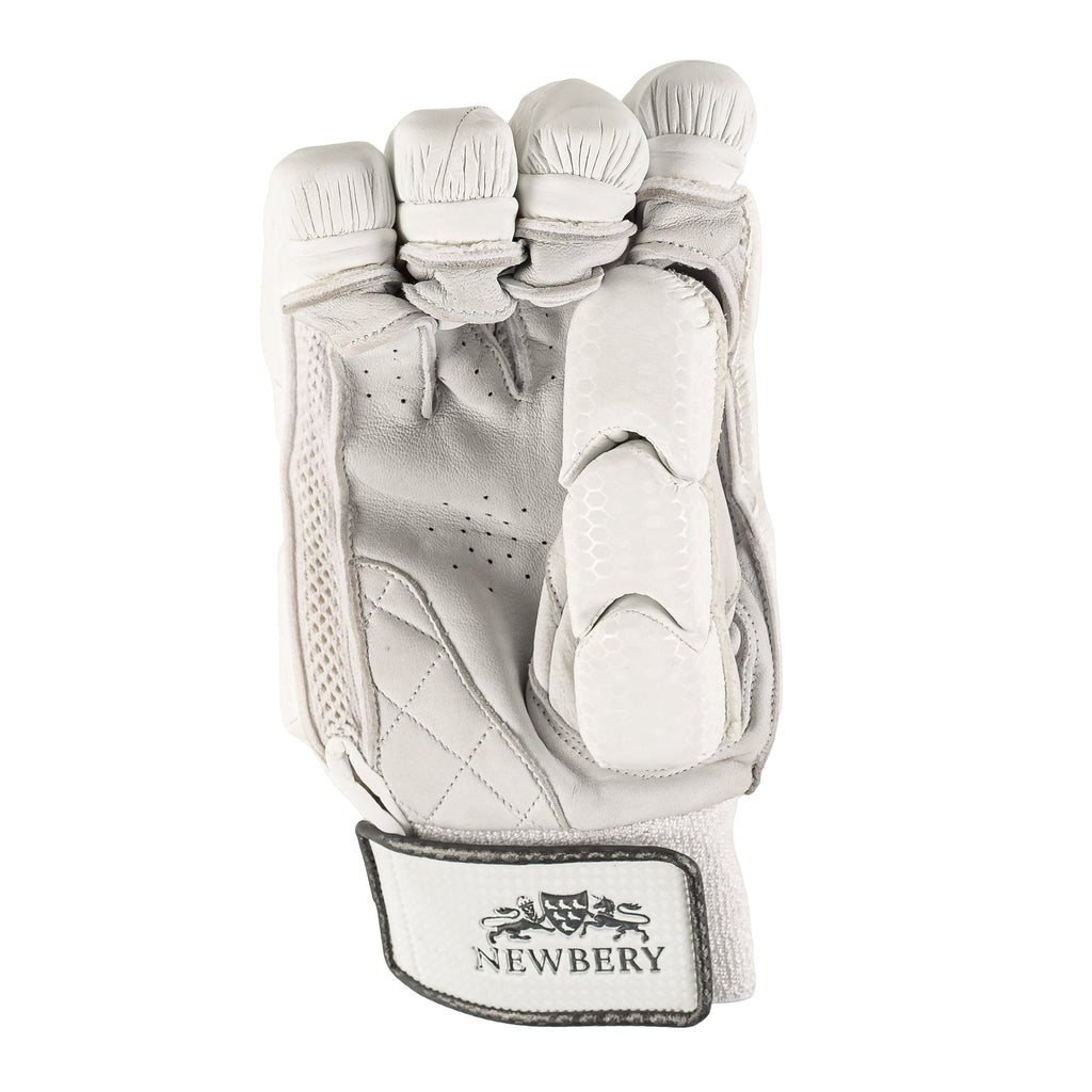 Newbery Players Cricket Batting Gloves