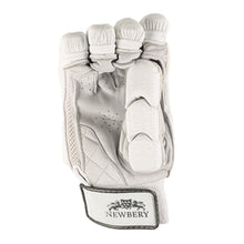 Newbery Players Cricket Batting Gloves