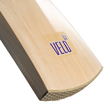 Newbery Velo Player English Willow Cricket Bat