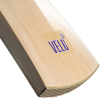 Newbery Velo 5 Star English Willow Cricket Bat
