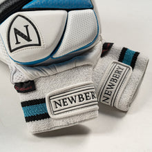 Newbery N 2.0 Cricket Batting Gloves