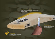 SG HP Icon English Willow Cricket Bat
