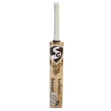 SG HP Punch English Willow Cricket Bat