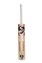 SG VS 319 Plus Kashmir Willow Cricket Bat