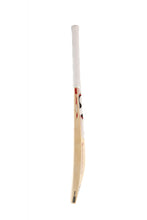 SG VS 319 Plus Kashmir Willow Cricket Bat