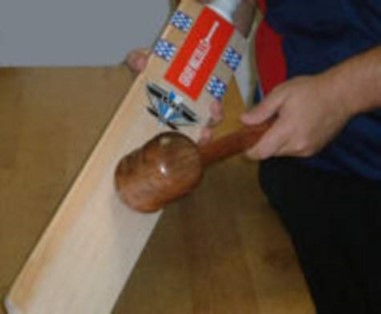 New Bat Knocking Service