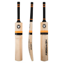 Newbery Master 100 Player English Willow Cricket Bat
