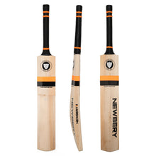 Newbery Master 100 5 Star English Willow Cricket Bat