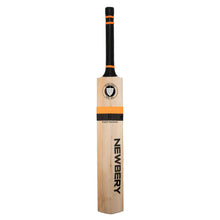 Newbery Master 100 5 Star English Willow Cricket Bat