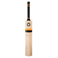 Newbery Master 100 Player English Willow Cricket Bat