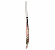 SS Master Kashmir Willow Cricket Bat