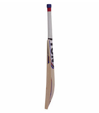 SS TON Galdiator Cricket Bat