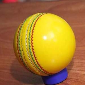 Graddige High Test Indoor Leather Cricket Ball