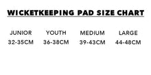 Gray Nicolls GN500 Wicket Keeping Glove