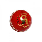 CA Test Star Junior Cricket Ball