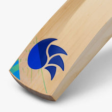 DSC Blu 200 English Willow Cricket Bat