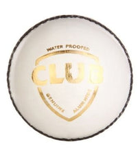 SG CLUB Cricket Leather Ball Senior