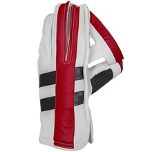 Gray Nicolls Predator 3 LE Wicket Keeping Gloves