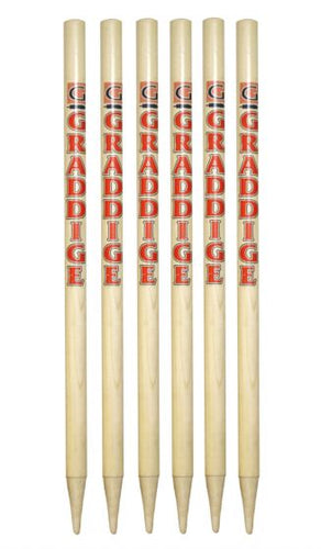 Graddige Softball 28