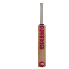 SS TON Retro Hammer Kashmir Willow Cricket Bat