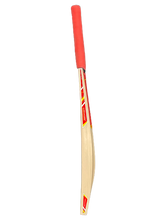 Gortonshire Kashmir Willow Cricket Bat