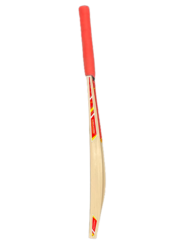 Gortonshire Kashmir Willow Cricket Bat