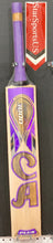 CA Plus 3000 English Willow Cricket Bat