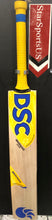 DSC BRAVADO ECHO ENGLISH WILLOW CRICKET BAT