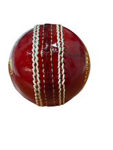 Lady Bird Elegant Red Leather Cricket Ball