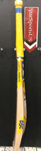 DSC BRAVADO DARE ENGLISH WILLOW CRICKET BAT